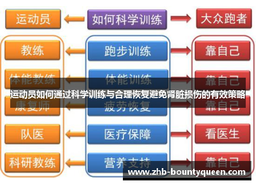 运动员如何通过科学训练与合理恢复避免肾脏损伤的有效策略